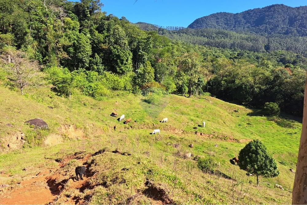 Terreno - Venda - Indaial , Santa Catarina - WhatsApp Image 2026-02-26 at 10.06.30.jpeg - 590301027-114