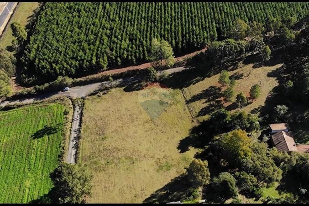 Terreno - Venda - Lages , Santa Catarina - 62017948-e63e-44d7-bc12-bfc07746ed9a.jpg - 590071041-8