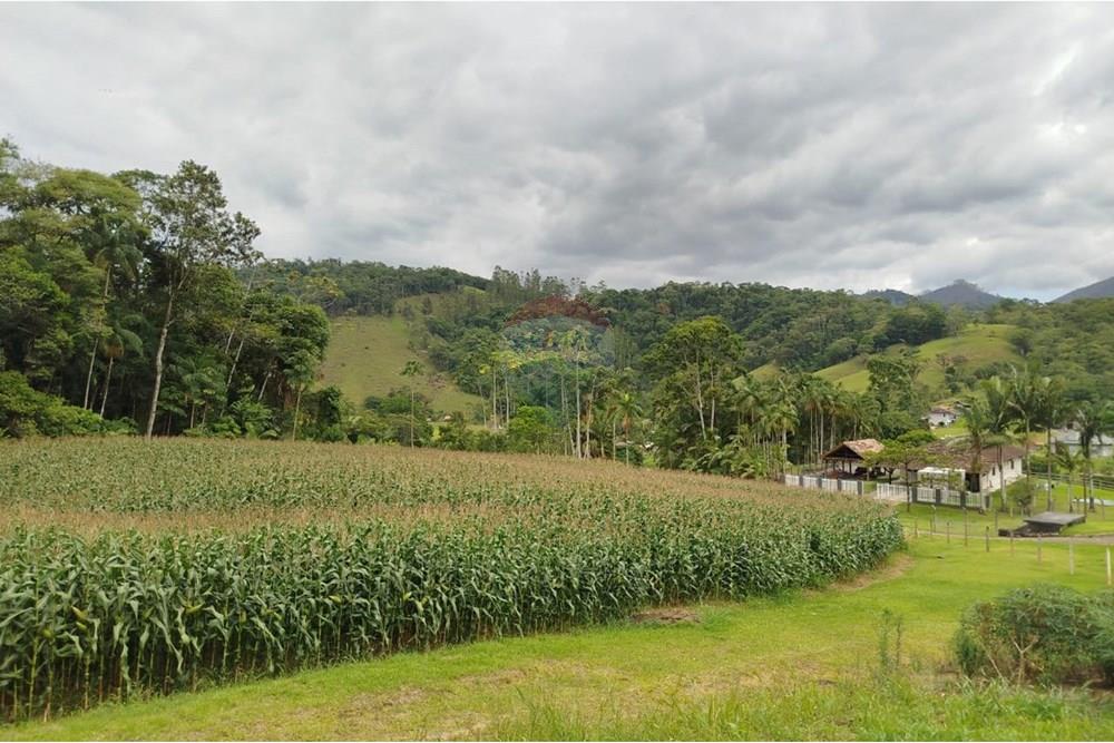 Chácara / Sítio / Fazenda - Venda - Pomerode , Santa Catarina - WhatsApp Image 2026-01-06 at 16.39.10 (2).jpeg - 590301027-111