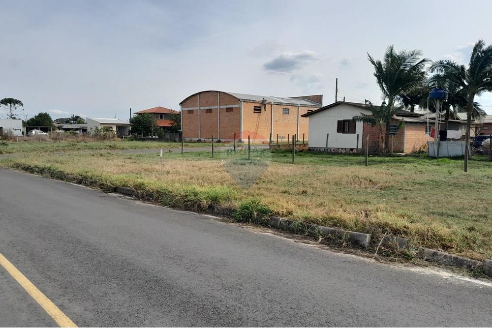 Terreno - Venda - Santa Rosa do Sul , Santa Catarina - 20250726_133306.jpg - 590491005-22