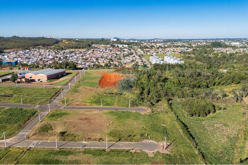 Terreno - Venda - Criciúma , Santa Catarina - WhatsApp Image 2025-06-29 at 18.23.50.jpeg - 590311031-3