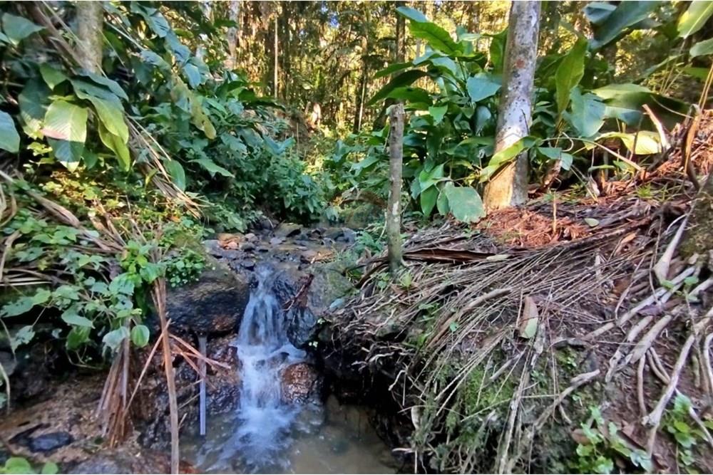 Terreno - Venda - Benedito Novo , Santa Catarina - WhatsApp Image 2025-09-09 at 17.07.57 (3).jpeg - 590301027-106