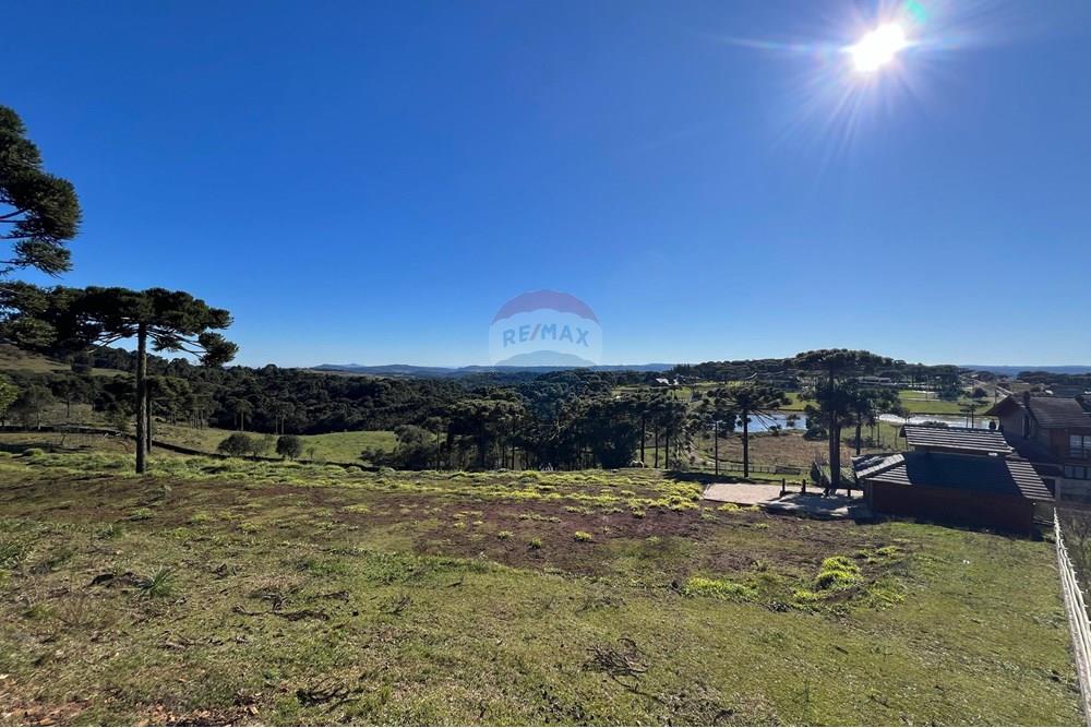 Terreno - Venda - Painel , Santa Catarina - WhatsApp Image 2025-06-11 at 15.16.14.jpeg - 590071003-195