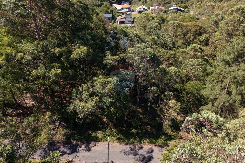 Terreno - Venda - Criciúma , Santa Catarina - DJI_20251211150150_0106_D.jpg - 590311026-43