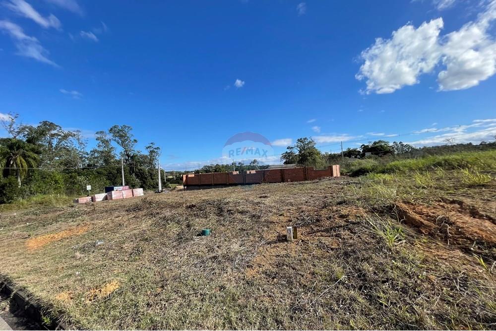 Terreno - Venda - Criciúma , Santa Catarina - IMG_6517.JPG - 590311026-27