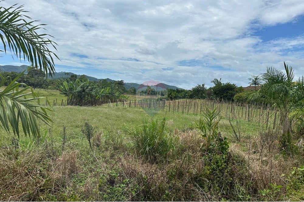 Terreno - Venda - Indaial , Santa Catarina - be006a7f-d68a-42d3-bdb2-860818e7ccac.jpeg - 590301007-66