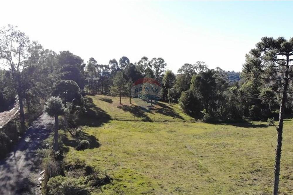 Terreno - Venda - Lages , Santa Catarina - 53731ff0-2819-4ff1-b3a6-5b2e79e9c77b.jpg - 590071041-7