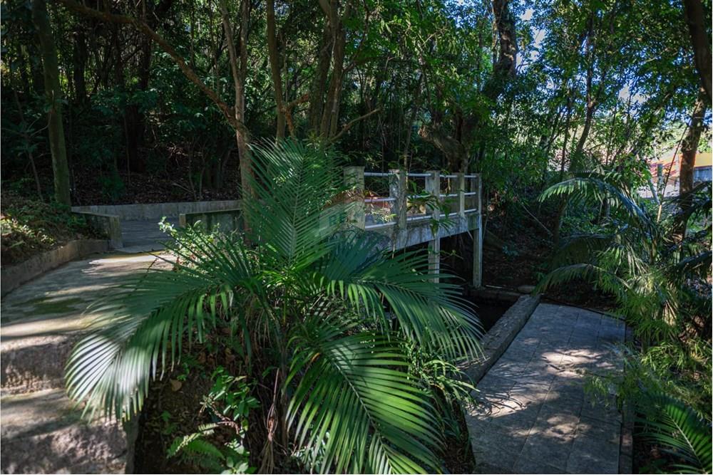 Chácara / Sítio / Fazenda - Venda - Tubarão , Santa Catarina - WhatsApp Image 2025-07-02 at 17.14.45(3).jpeg - 590461003-33