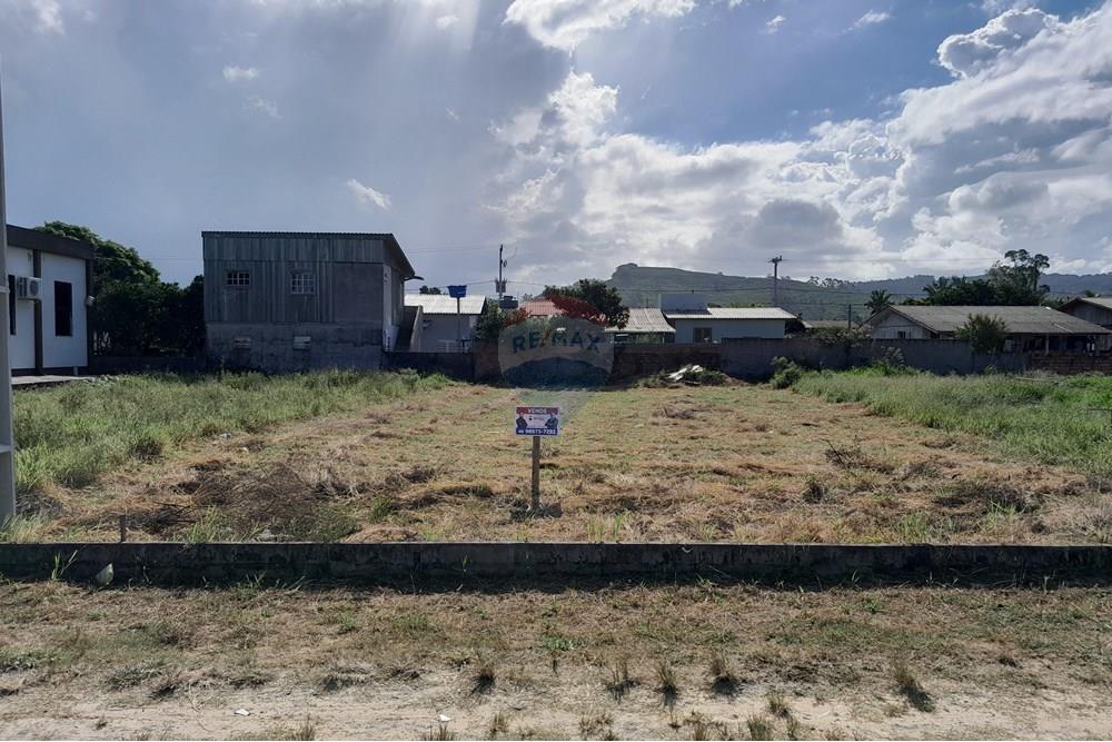 Terreno - Venda - Santa Rosa do Sul , Santa Catarina - 20250409_145420.jpg - 590491005-3