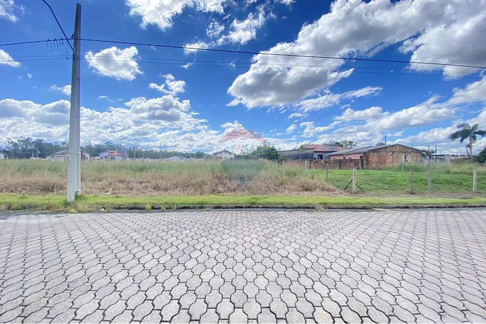 Terreno - Venda - Criciúma , Santa Catarina - IMG_0205.jpg - 590311016-38