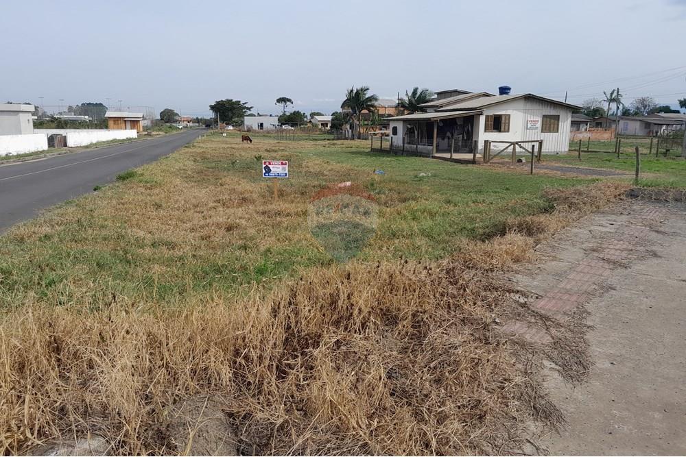 Terreno - Venda - Santa Rosa do Sul , Santa Catarina - 20250726_133600.jpg - 590491005-21