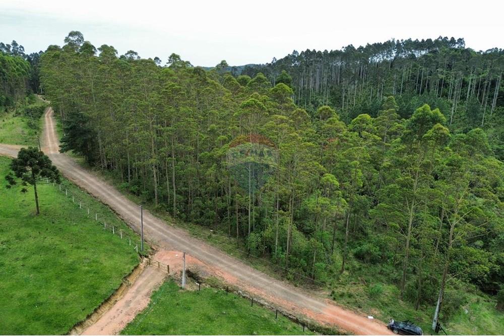 Terreno - Venda - Rio dos Cedros , Santa Catarina - IMG-20251017-WA0046.jpg - 590211067-4