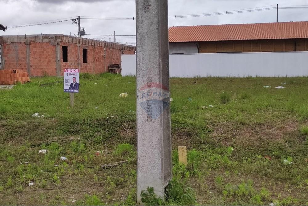 Terreno - Venda - Araquari , Santa Catarina - fc410ee6-5403-4f49-a7d2-fbe9e068c63c.jpeg - 590501001-117