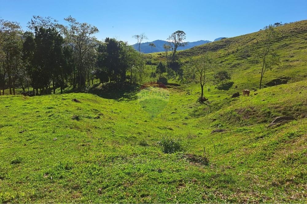 Terreno - Venda - Indaial , Santa Catarina - WhatsApp Image 2026-02-26 at 10.06.44.jpeg - 590301027-114