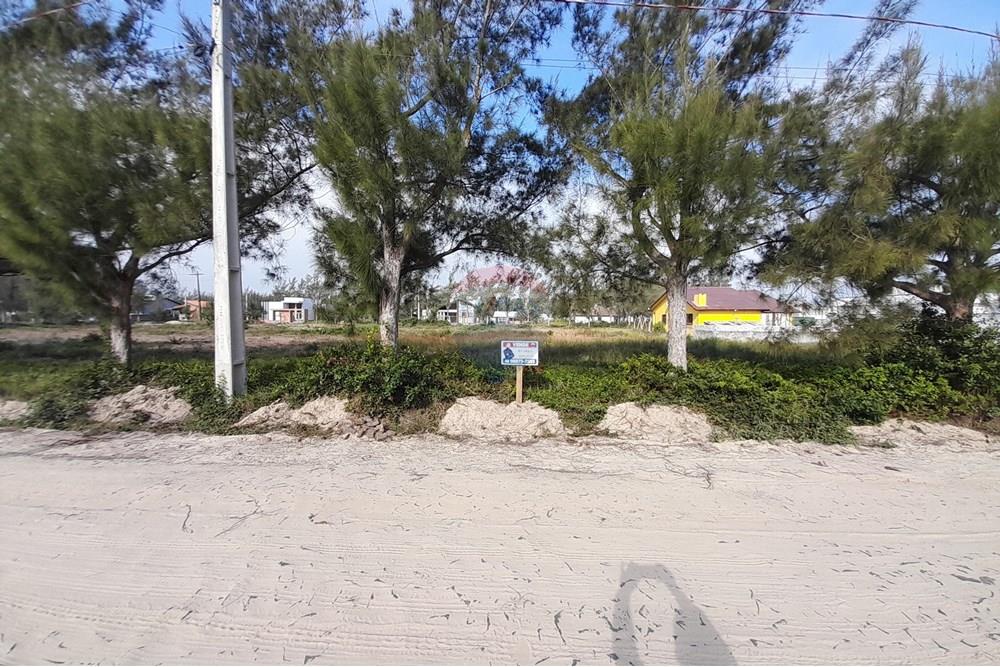 Terreno - Venda - Balneário Gaivota , Santa Catarina - 20250710_142258.jpg - 590491005-19