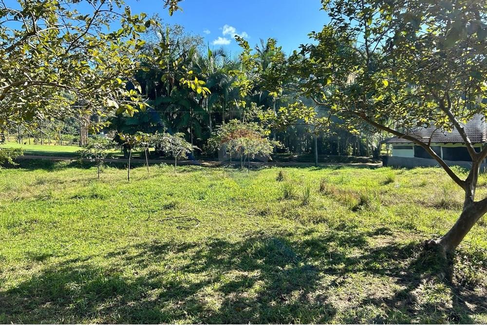 Terreno - Venda - Rio dos Cedros , Santa Catarina - d8e4a4cb-e530-4b4c-b8a5-0d2368443a3b.jpeg - 590211035-54