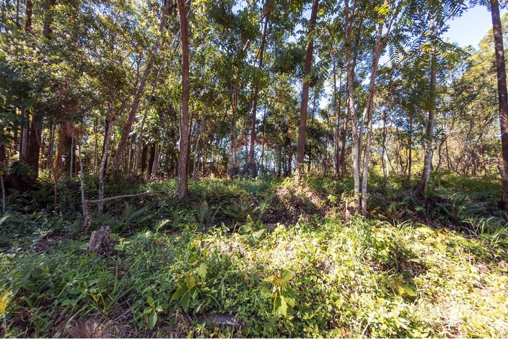 Terreno - Venda - Criciúma , Santa Catarina - IMG_6916 (2).jpg - 590311026-44