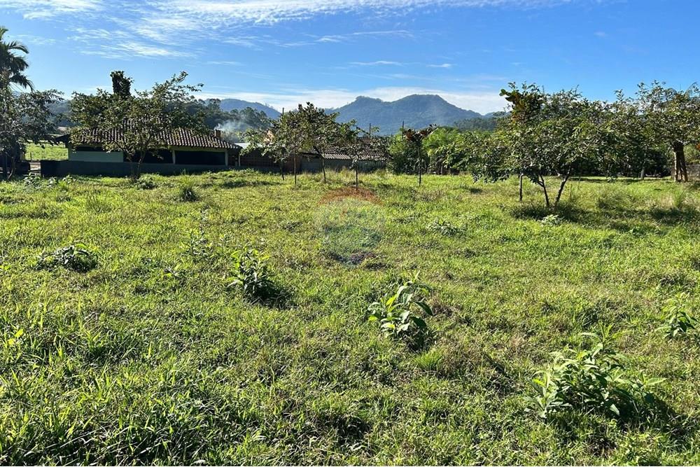 Terreno - Venda - Rio dos Cedros , Santa Catarina - 7fc845cd-01e6-4564-8c0e-0c7c68954ea9.jpeg - 590211035-54