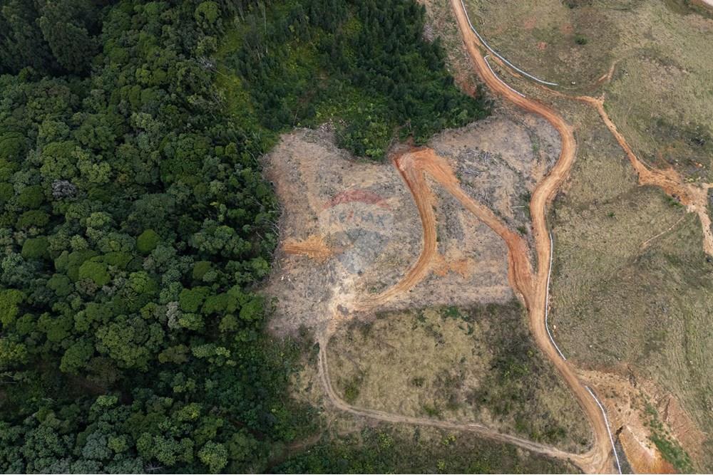 Chácara / Sítio / Fazenda - Venda - São Martinho , Santa Catarina - DJI_20250711082830_0732_D_DJI4.jpg - 590461004-22