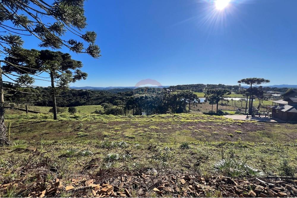Terreno - Venda - Painel , Santa Catarina - WhatsApp Image 2025-06-11 at 15.16.33.jpeg - 590071003-194