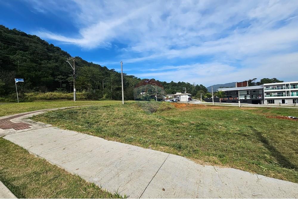 Terreno - Venda - Balneário Camboriú , Santa Catarina - 1000501807.jpg - 590231111-60