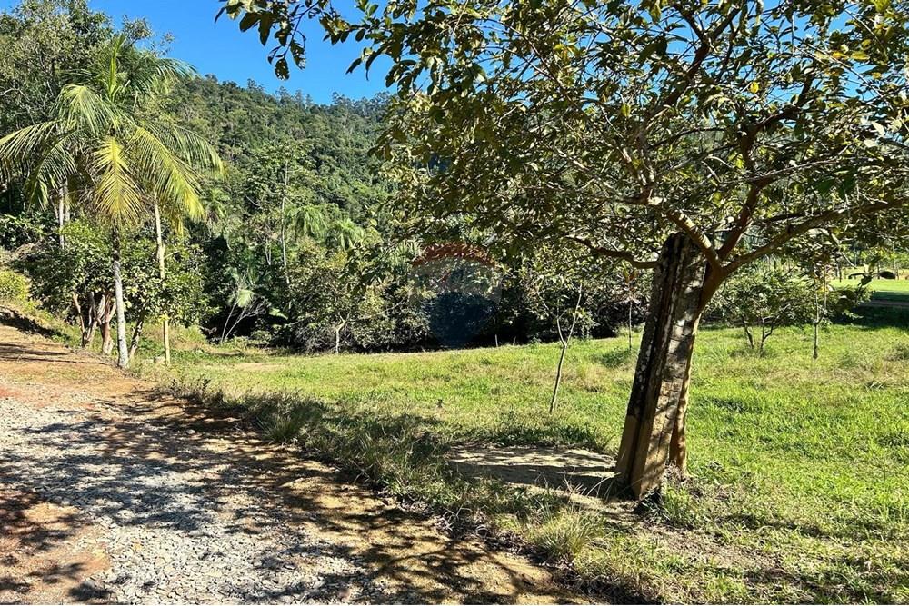 Terreno - Venda - Rio dos Cedros , Santa Catarina - 7ee94369-776e-4571-9ea5-3c1a1d0b984d.jpeg - 590211035-54