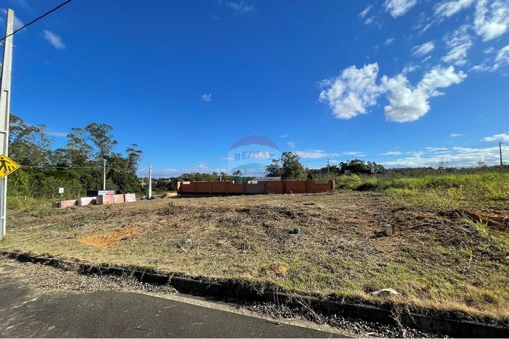 Terreno - Venda - Criciúma , Santa Catarina - IMG_6526.JPG - 590311026-27