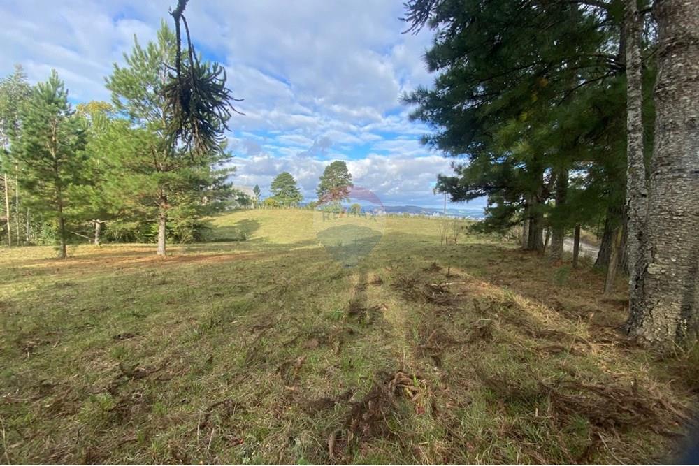 Terreno - Venda - Lages , Santa Catarina - 048def6e-c20d-4541-8e26-497d4b5998ad.jpg - 590071041-7