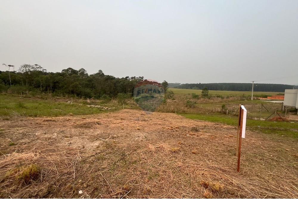 Terreno - Venda - Criciúma , Santa Catarina - IMG-20240910-WA0048.jpg - 590311017-48