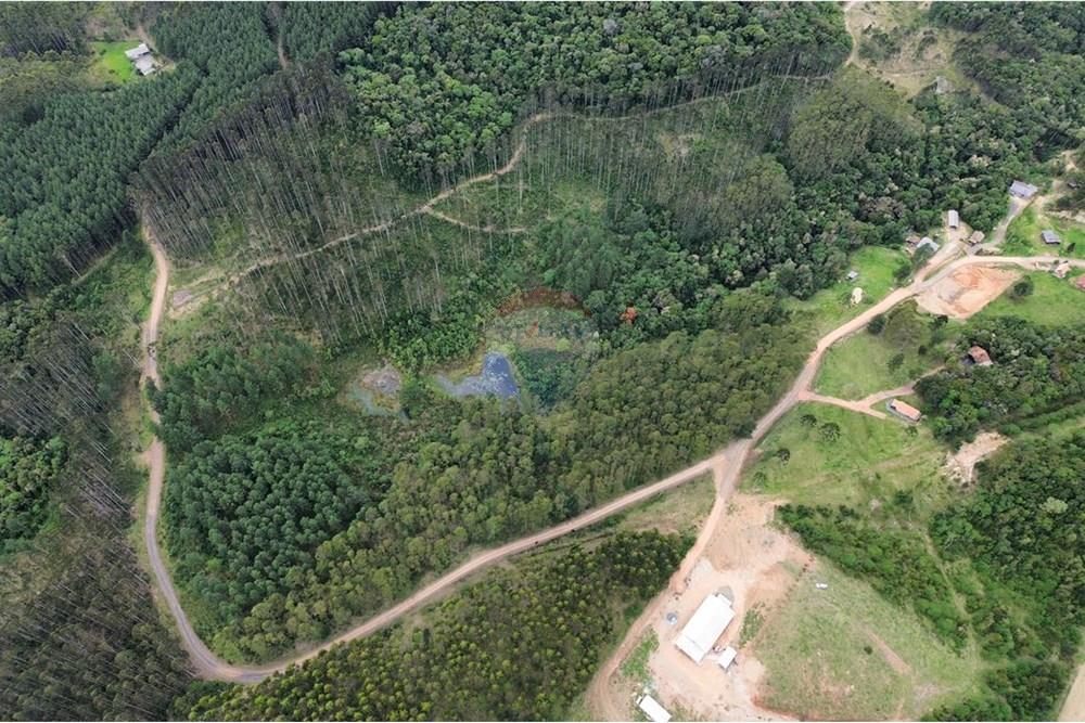 Terreno - Venda - Rio dos Cedros , Santa Catarina - IMG-20251017-WA0042.jpg - 590211067-4