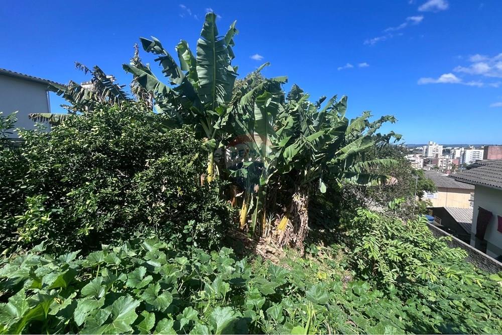 Terreno - Venda - Criciúma , Santa Catarina - WhatsApp Image 2026-04-09 at 14.23.37.jpeg - 590311040-4