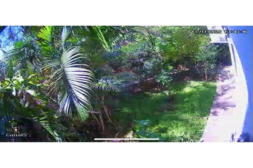 Casa - Venda - Florianópolis , Santa Catarina - WhatsApp Image 2026-03-16 at 3.53.40 PM (1).jpeg - 590441047-16