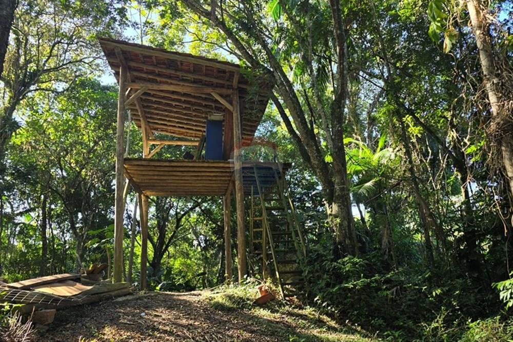 Casa - Venda - Florianópolis , Santa Catarina - 20250530_101210.jpg - 590101001-60