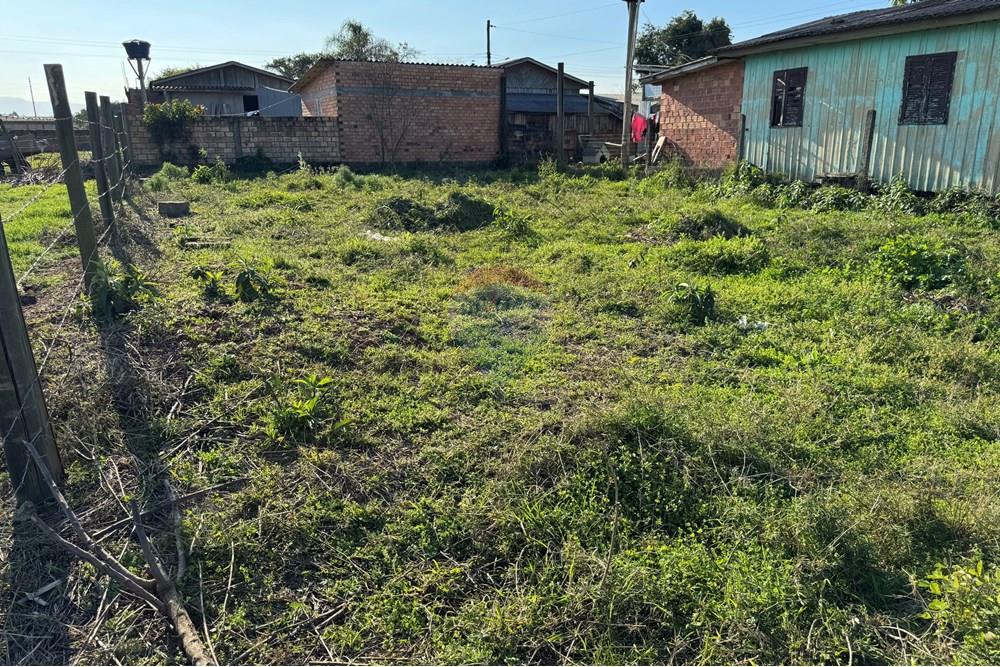 Terreno - Venda - Santa Rosa do Sul , Santa Catarina - IMG_7340.jpg - 590491012-2