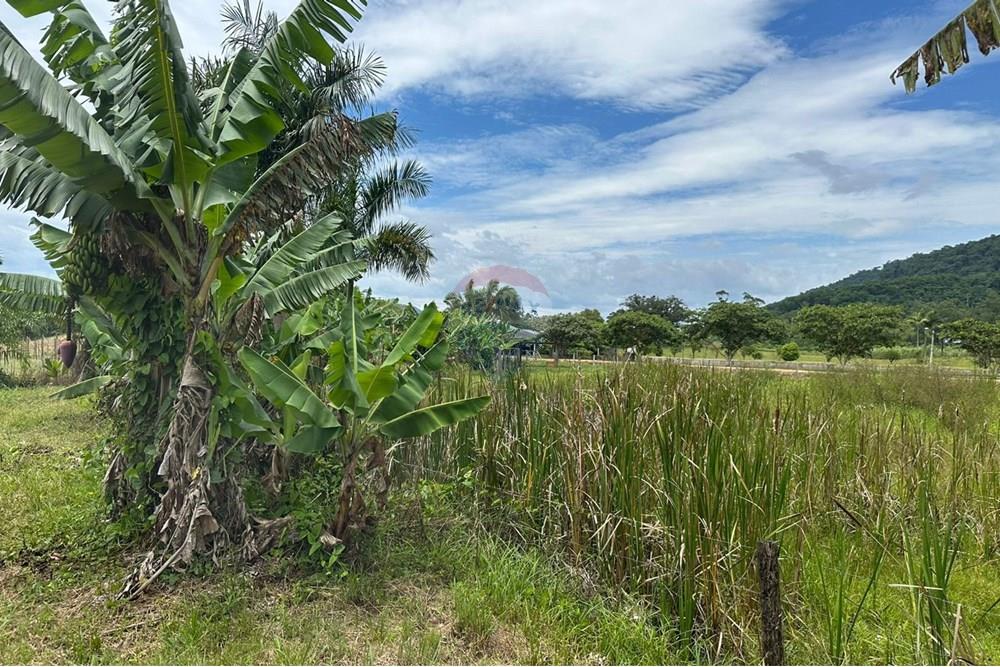 Terreno - Venda - Indaial , Santa Catarina - f6ab2534-58d2-4f05-a4c1-119f2f692d49.jpeg - 590301007-66