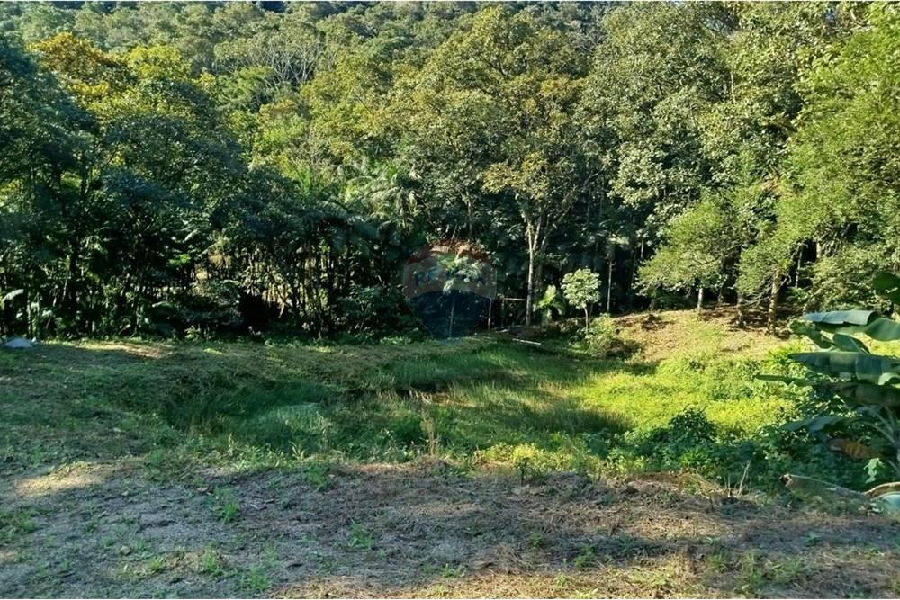 Terreno - Venda - Benedito Novo , Santa Catarina - WhatsApp Image 2025-09-09 at 17.07.54.jpeg - 590301027-106