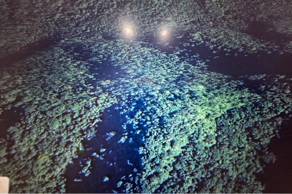 Chácara / Sítio / Fazenda - Venda - Itaiópolis , Santa Catarina - WhatsApp Image 2025-12-10 at 13.49.37 (2).jpeg - 590211033-83