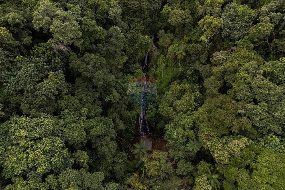 Chácara / Sítio / Fazenda - Venda - São Martinho , Santa Catarina - DJI_20250711083920_0739_D_DJI4.jpg - 590461004-22