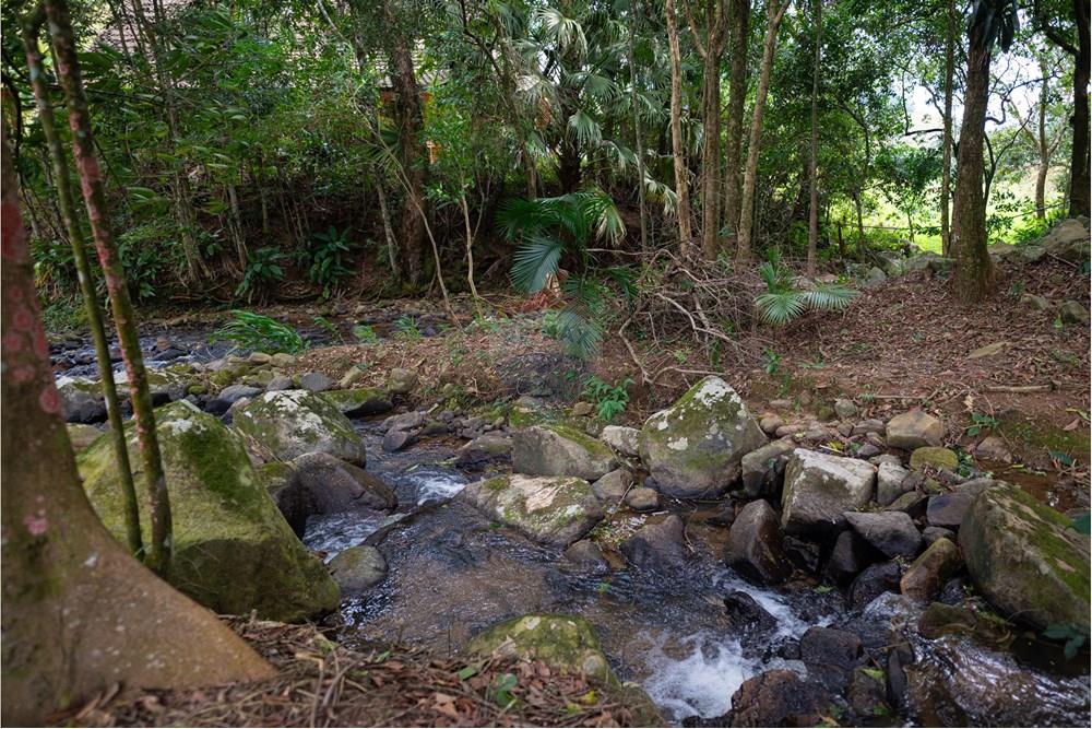 Casa de Campo - Venda - São Martinho , Santa Catarina - NZ5_1958.jpg - 590461004-16