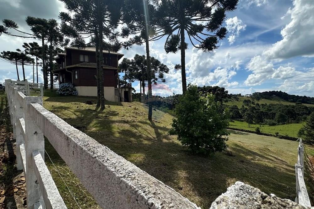 Chácara / Sítio / Fazenda - Venda - Painel , Santa Catarina - IMG_3330.jpg - 590071002-472