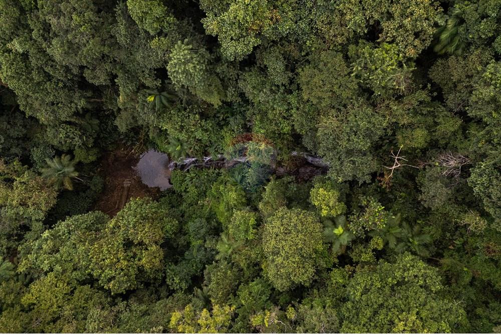 Chácara / Sítio / Fazenda - Venda - São Martinho , Santa Catarina - DJI_20250711084041_0745_D_DJI4.jpg - 590461004-22