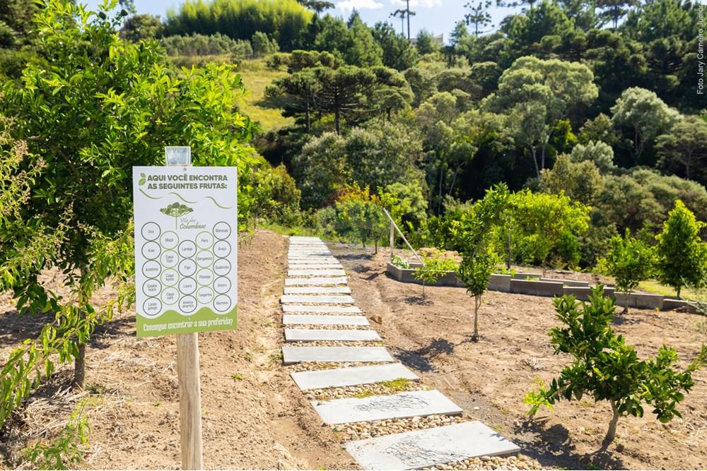 Casa - Venda - Lages , Santa Catarina - 0023 25-03-21 Casa Vila das Comunmbeas.JPG - 590071002-308