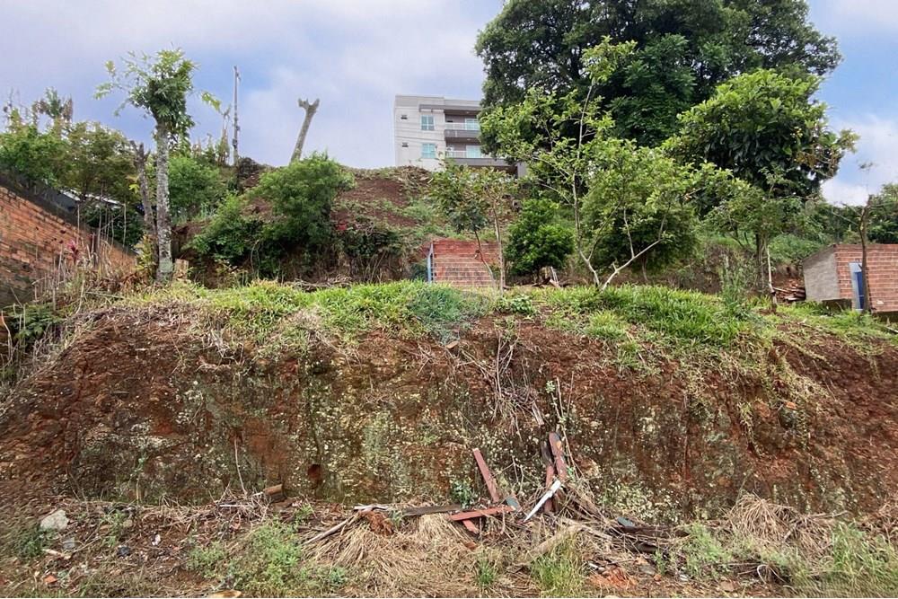 Residential - ਧਰਤੀ - Xaxim , Santa Catarina - BR - snapedit_1759325614604.jpg - 590421016-25