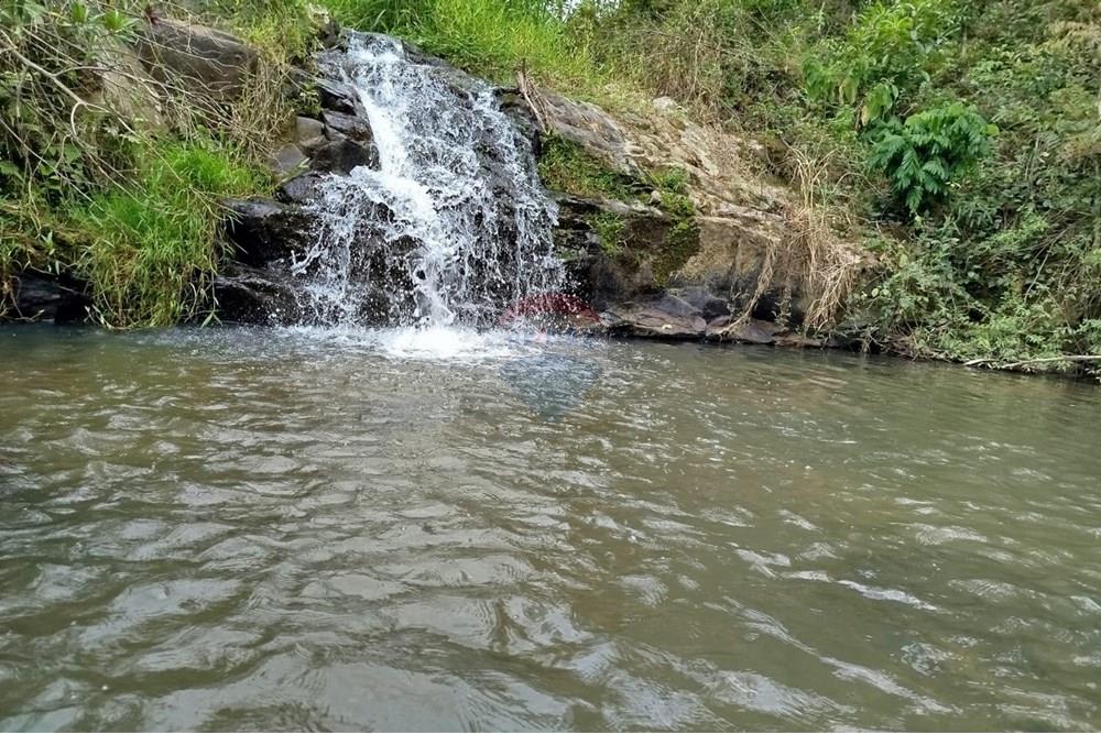 Chácara / Sítio / Fazenda - Venda - Pomerode , Santa Catarina - WhatsApp Image 2026-01-06 at 16.39.16.jpeg - 590301027-111