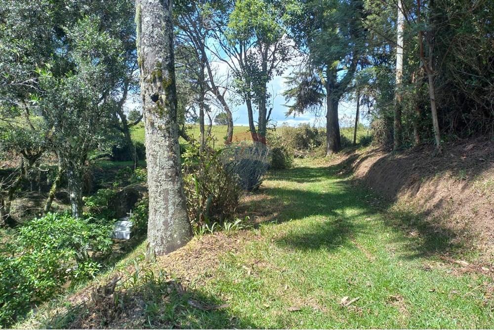 Chácara / Sítio / Fazenda - Venda - Lages , Santa Catarina - 6b8842d2-9464-4723-8b94-95b78064b930.jpg - 590071041-18