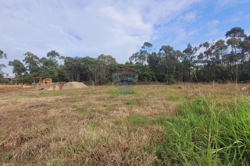 Terreno - Venda - Balneário Gaivota , Santa Catarina - 20250411_085402.jpg - 590491002-30