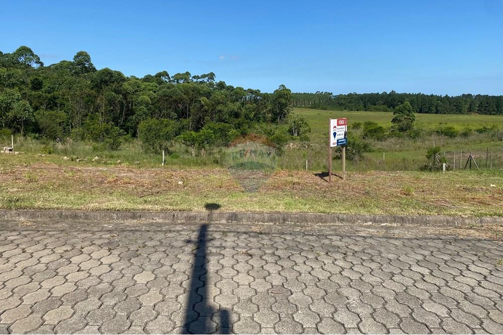 Terreno - Venda - Criciúma , Santa Catarina - IMG-20250202-WA0018.jpg - 590311017-48