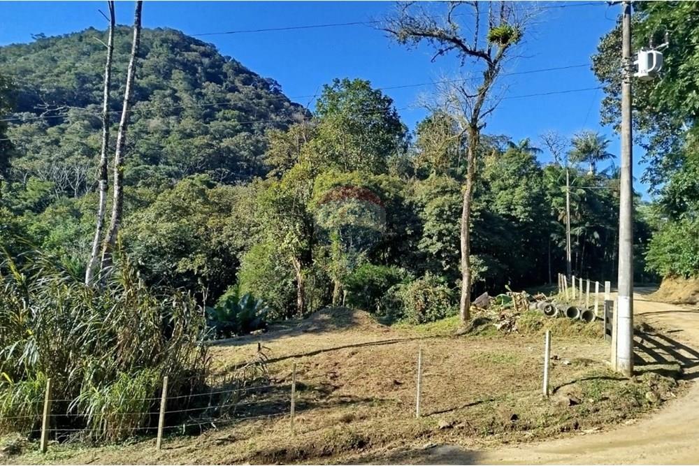 Terreno - Venda - Benedito Novo , Santa Catarina - WhatsApp Image 2025-09-09 at 17.07.51.jpeg - 590301027-106