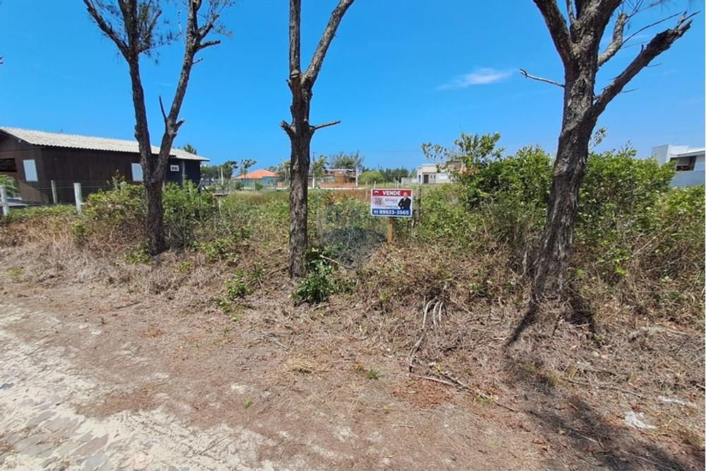 Terreno - Venda - Balneário Gaivota , Santa Catarina - Imagem do WhatsApp de 2025-11-29 à(s) 11.25.54_9d55da16.jpg - 590491011-27