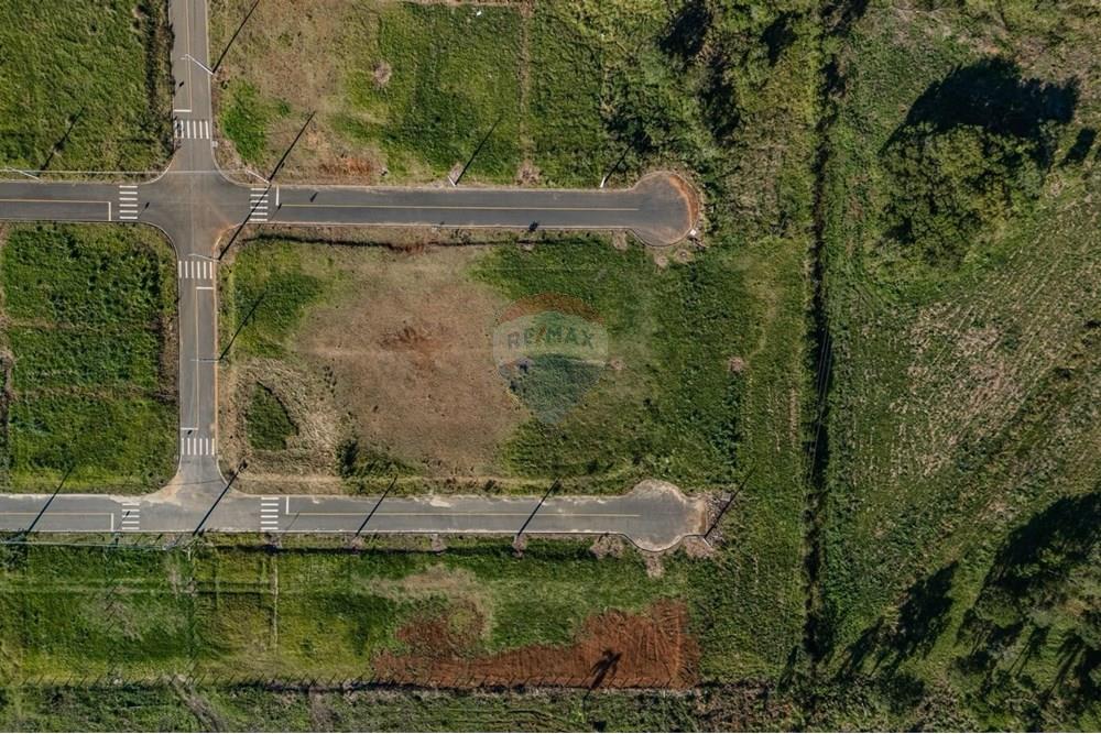 Terreno - Venda - Criciúma , Santa Catarina - WhatsApp Image 2025-06-29 at 19.58.03.jpeg - 590311031-3